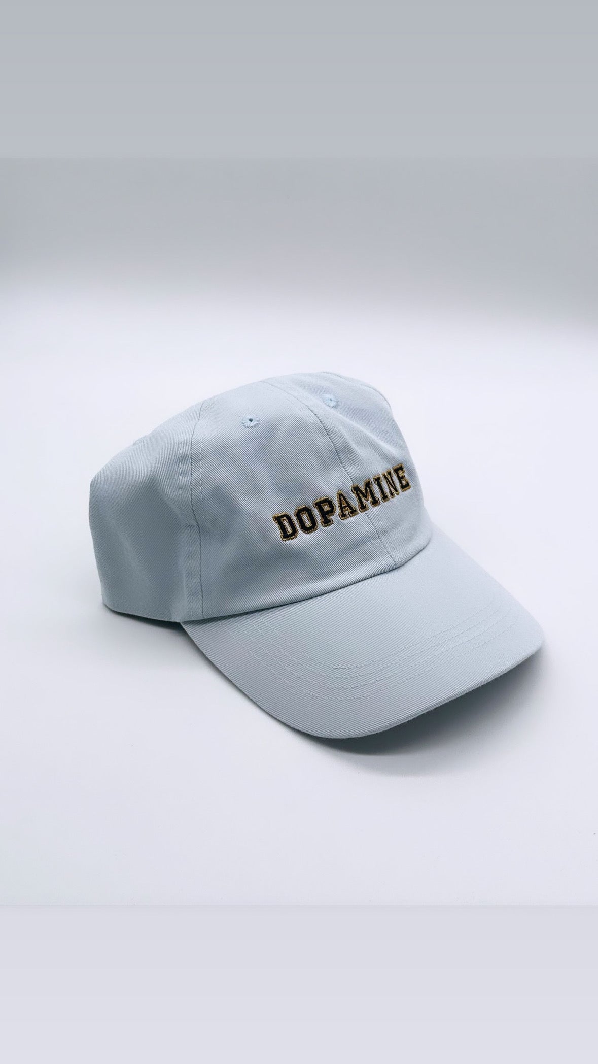 Dopamine 6P Frat Hat