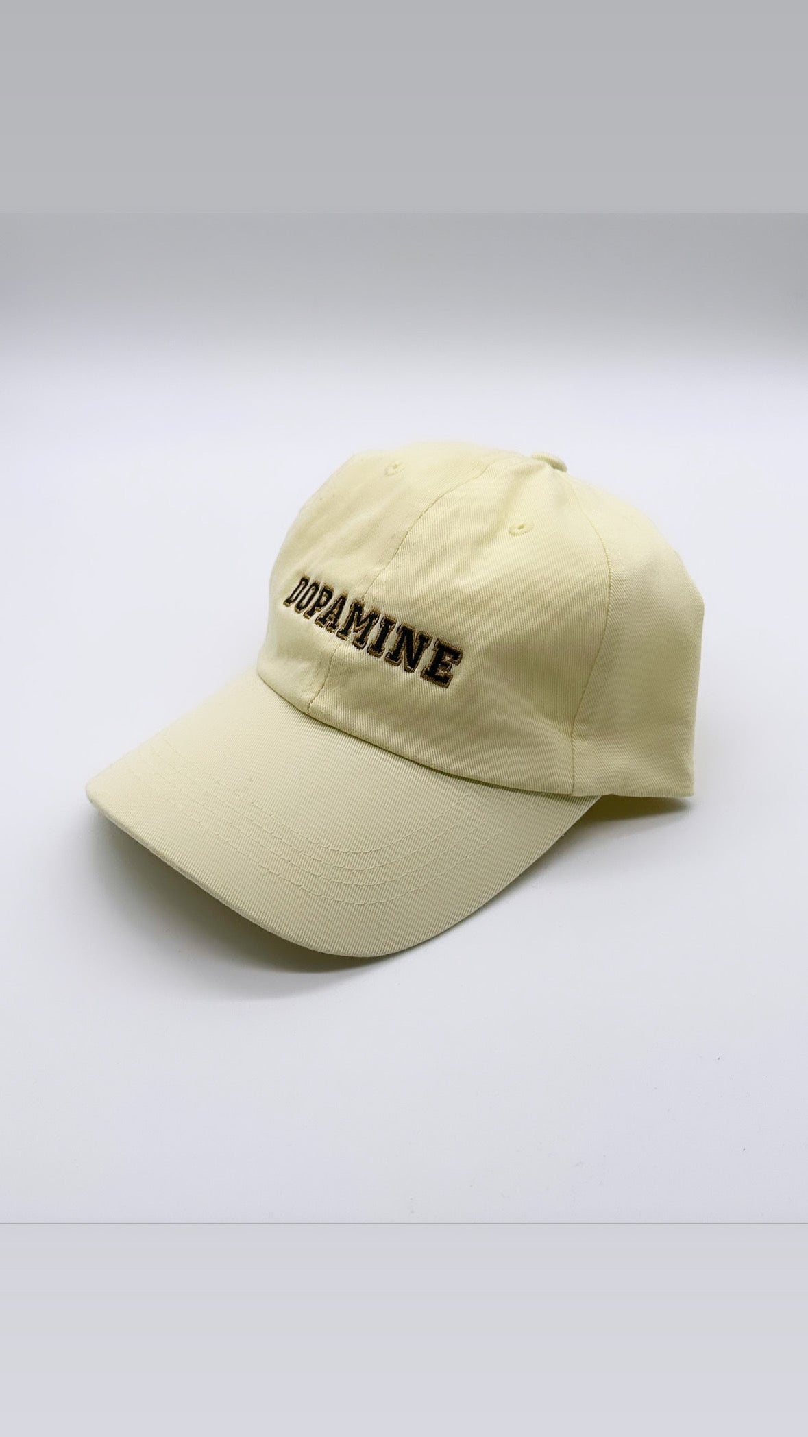 Dopamine 6P Frat Hat